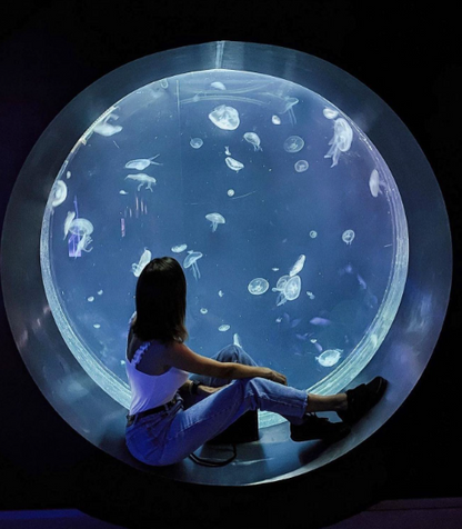 Acquario per meduse circolare personalizzabile